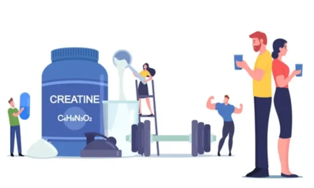 The Role of Creatine